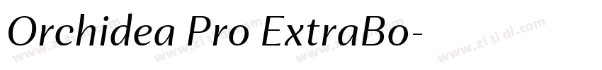 Orchidea Pro ExtraBo字体转换